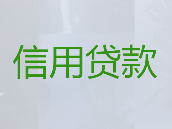 新余正规贷款公司-信用贷款